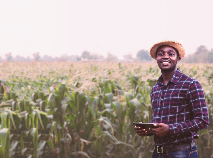 Soluções para Agronegócio
